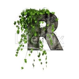 REACHNGO1's profile picture. 