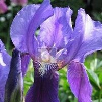 Nèvia Associació de Dones (@nevia25210) 's Twitter Profile