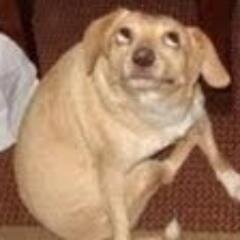 stabdadspades's profile picture. casino owner or something