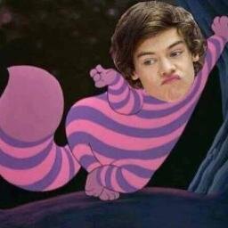 BiggestbandYes's profile picture. i love the direction and the fandom