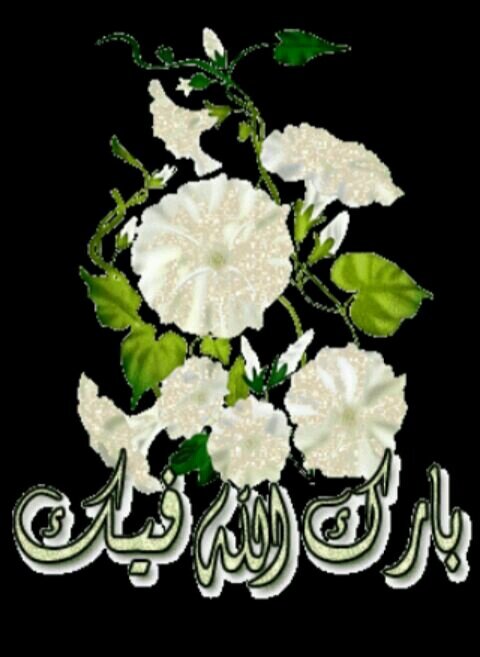حسبنا الله ونعم الوكيل