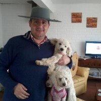 WILFREDO TELLO PICÓN(@WILFREDOTELLOPI) 's Twitter Profile Photo