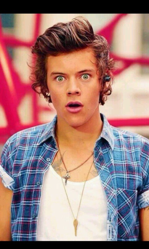 ~PROUD DIRECTIONER~                                          follow me and I will follow you back