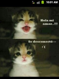 olooooosh 3 si tu me sigues yo te sigo ;-)