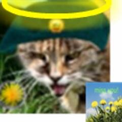 After 17 years in the world I have gone OTRB leaving the rest of the colony behind.@devonScootle @tourettesTabby2 @DOOMandNEMESIS. A Proud #wlf & #PA member.