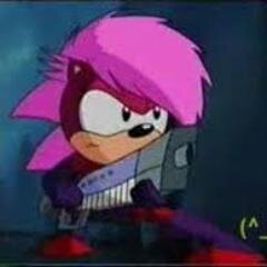 Little sister of sonic and manic hedgehog,daughter of queen Aleena,Likes to play with piano,and sing. #SonicRP #Single