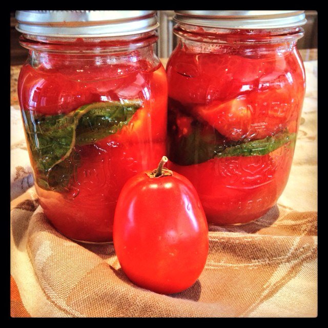 gateauMJ's profile picture. retired educator