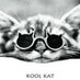 Kool Cat (@Koolcatarts) Twitter profile photo