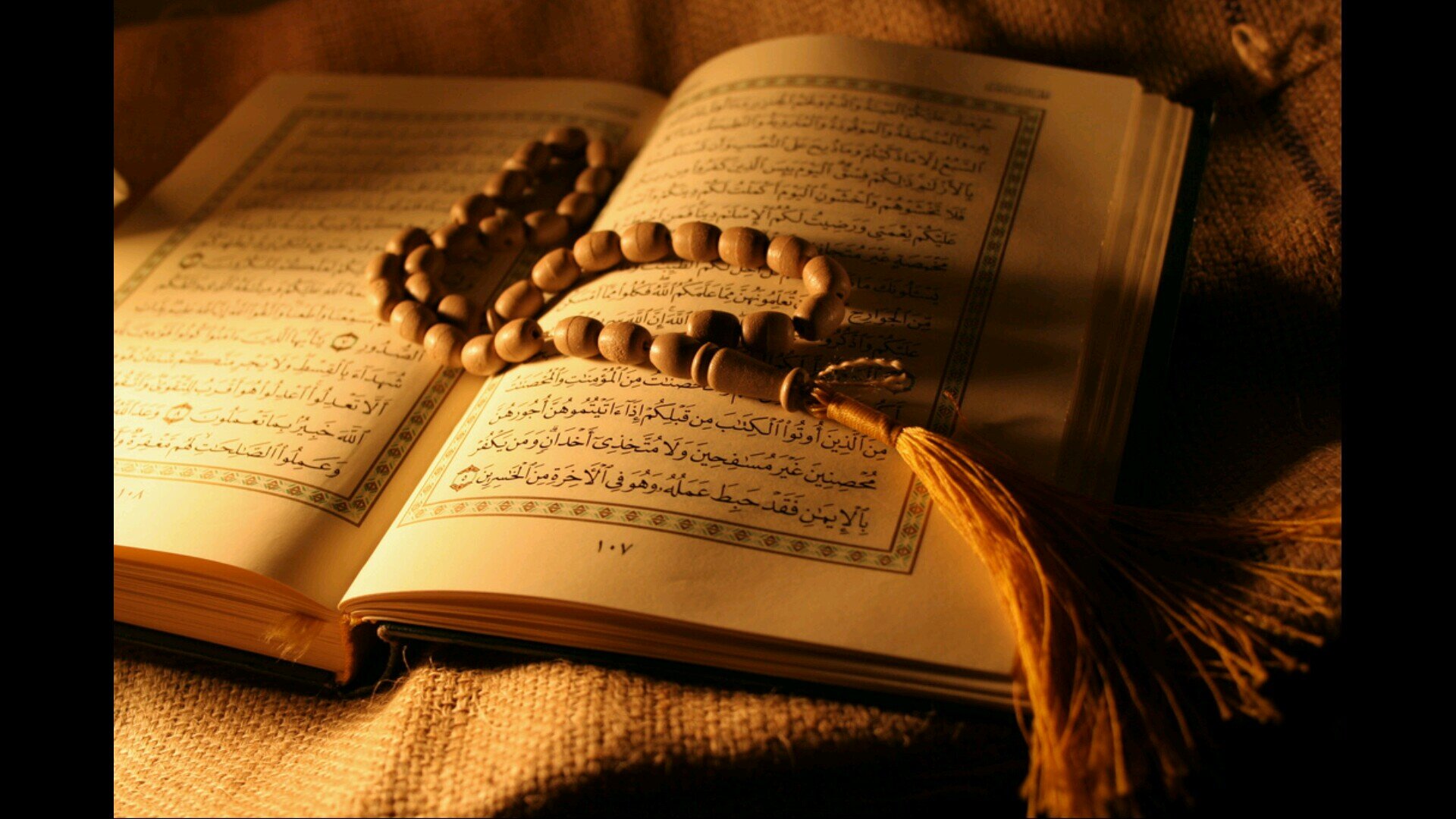 حساب يغرد عن (احاديث_ايات من القران_مواقف من السيره_اذكار_ادعيه)انشروا ولكم اجر