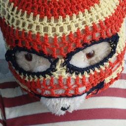 ReginaAtTSCC's profile picture. 