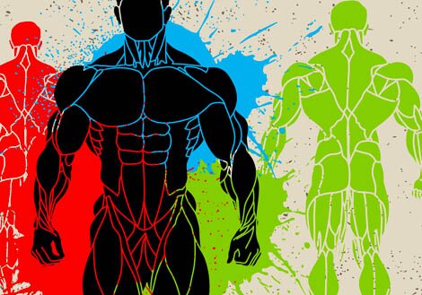 MuscleAthletes's profile picture. Muscle Athletes - FREE fitness network for bodybuilders, fitness models, athletes, personal trainers and fitness lovers.