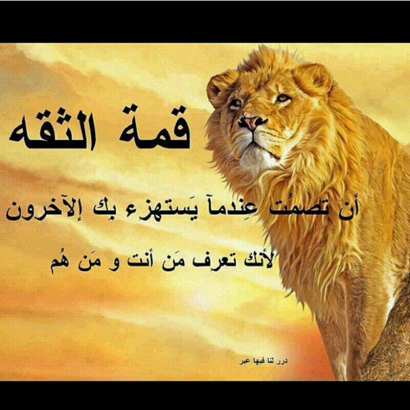 brakh62's profile picture. 