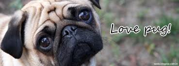 ciceroray1's profile picture. 