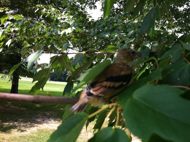 RealityDefyer's profile picture. Writer- Artist- Blogger
I go to seek the great perhaps