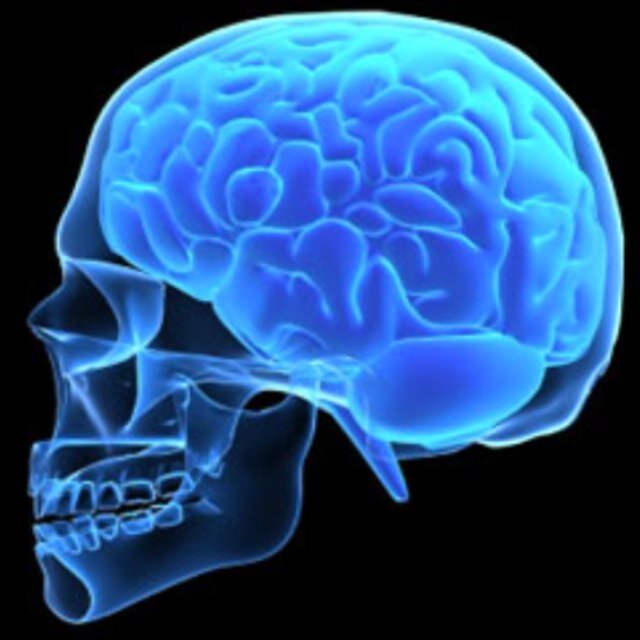 UnHelpfullFacts's profile picture. Completely Useless Facts