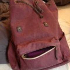 IlanaProf's profile picture. CIS 101 Twitter Experiment