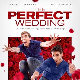 THE PERFECT WEDDING is a revolutionary gay romcom. No jokes about sexuality; no one in the closet; no stereotypes. Just a funny, touching movie about love.