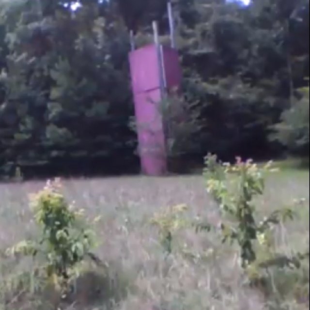I am just a lowly red wooden tower.