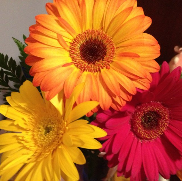 kosse_kosse's profile picture. 