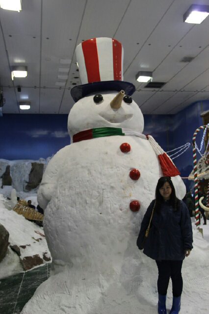 ShellyWangg's profile picture. 