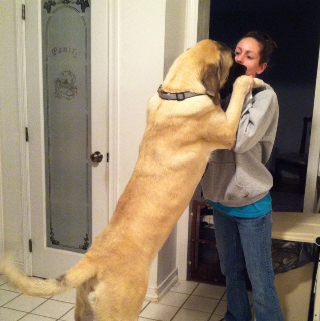 34 year old veterinary technician. I come home every day and can honestly say I love my job.