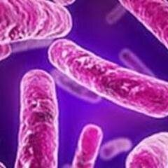 Biotecnology/ Pharmacogenetic TBP.
Nanotecnology, Nanomaterials Research.