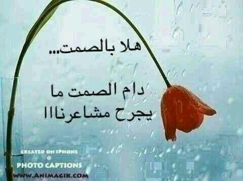 s130079979's profile picture. @AbdullahAS13 سعادتي