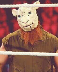 The goat of the Wyatt Family.  (RP)