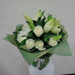 dbasanta61's profile picture. 