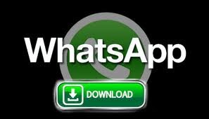 RealJimBalsamic's profile picture. I'm CEO, Bitch