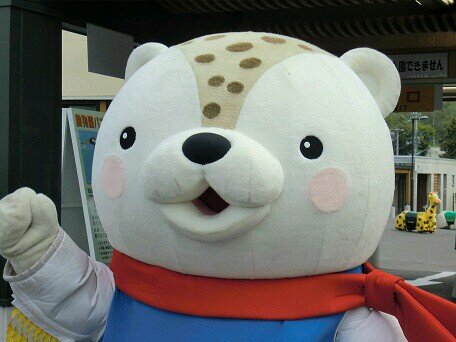 北海道日本ハムファイターズと北海道コンサドーレ札幌を応援しています。