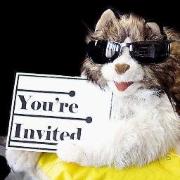 Official twitter page for 'Whatever Happened to Kitty Golightly?' a short film about cats. and the deterioration of friendship.
http://t.co/KS3hGoqNil