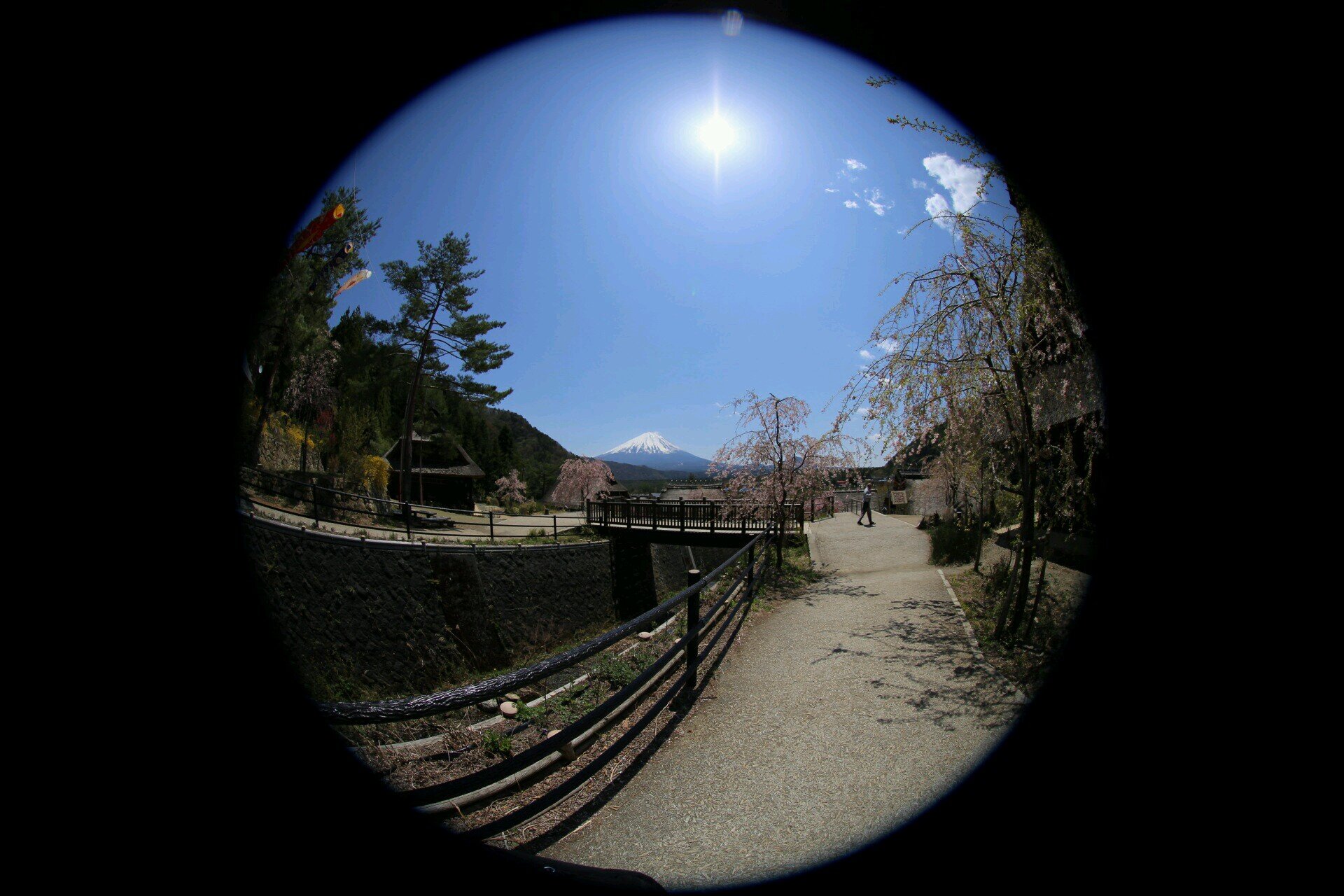 風景用アカ、最近はアイドルばかり撮ってます。これからは、夜景と富士山を主に撮ろうかなとか思ってます。
機材、5D4、24 70mm2.8fⅡ 70 200mm2.8fⅡ Art20mm1.4f