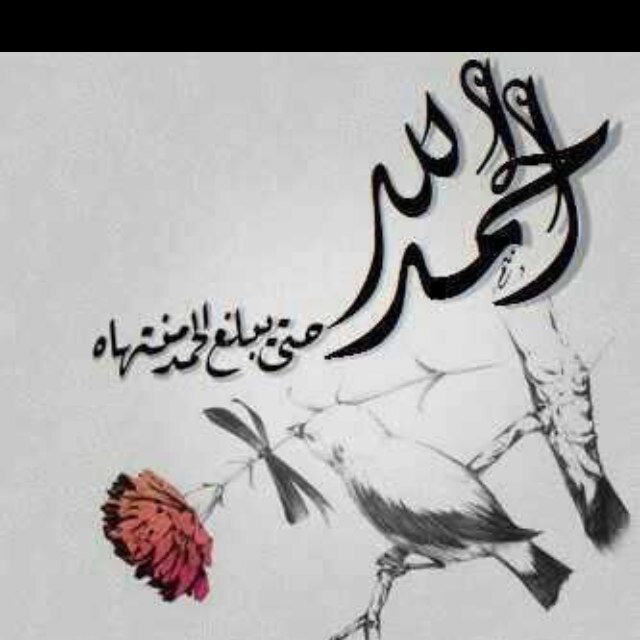 م دام في السماء من يحميني .. فليس في الارض من يكسرني..! فتاه متفائله احب الوناسه .. ابتغي رضى الله ثم الجنه 