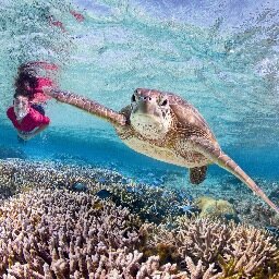 Official twitter account of Bundaberg North Burnett Tourism. Famous for turtles, food experiences, drive destinations, gorgeous beaches & much more.