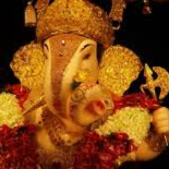 dhirajd87479313's profile picture. 