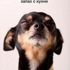 кто тут?