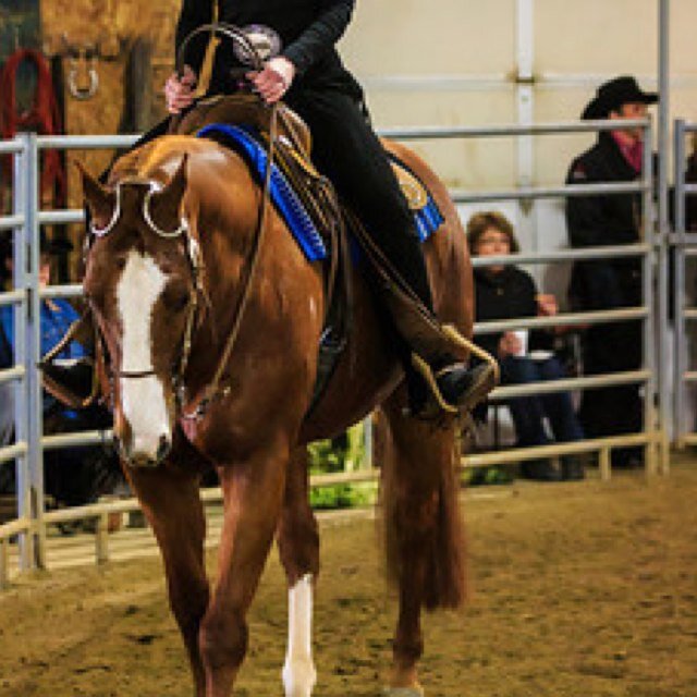 Perfect equitation over perfect grades. And may the draw be ever in your favor.