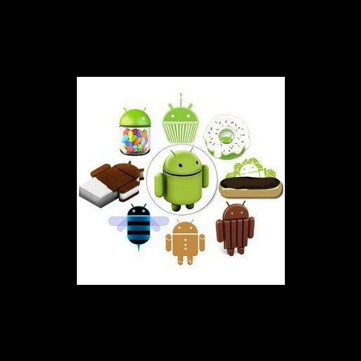 robfly_81's profile picture. single