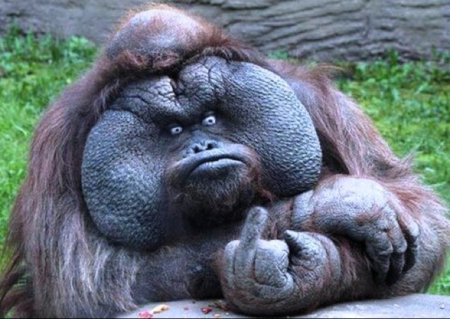 Clembini's profile picture. 