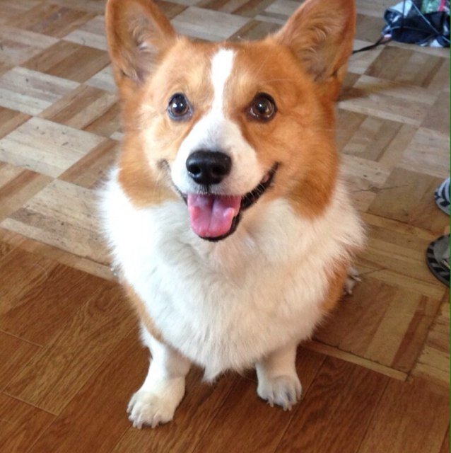 37Terutyan's profile picture. 