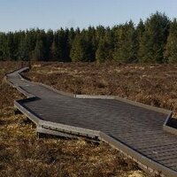 Langlands Moss L.N.R (@langlandsmoss) 's Twitter Profile