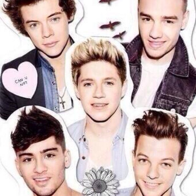 Supporting the best Boys in the world a.k.a @onedirection New fanbase, mention for follbacK;)