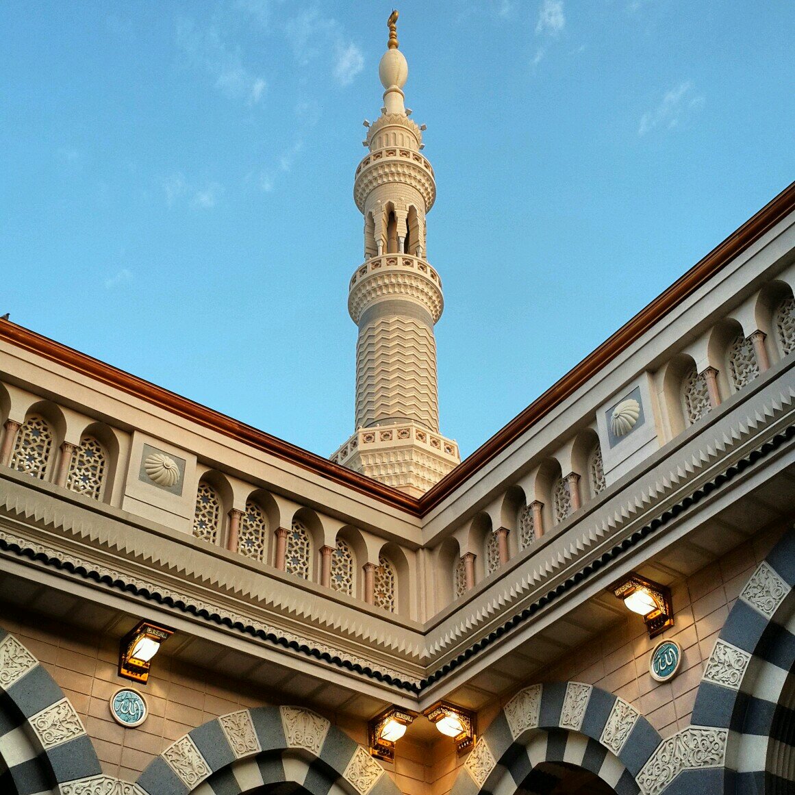 الحياة عطاء …..عطاء حافل ممتع  في التربية والتعليم والإدارة والتطوع والتنمية والزراعة ….