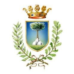 Account for the Computer Networks class at the University of Ferrara (computer science and computer engineering courses) taught by Prof. @maurotortonesi.
