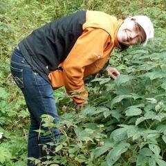 EnglishEdition's profile picture. Executive Director of @CNTRP, Operations Manager of @AB_OTDT, views my own, fluent in franglais and toddler, she/her