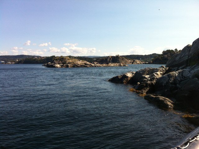 johnnyfornes's profile picture. 