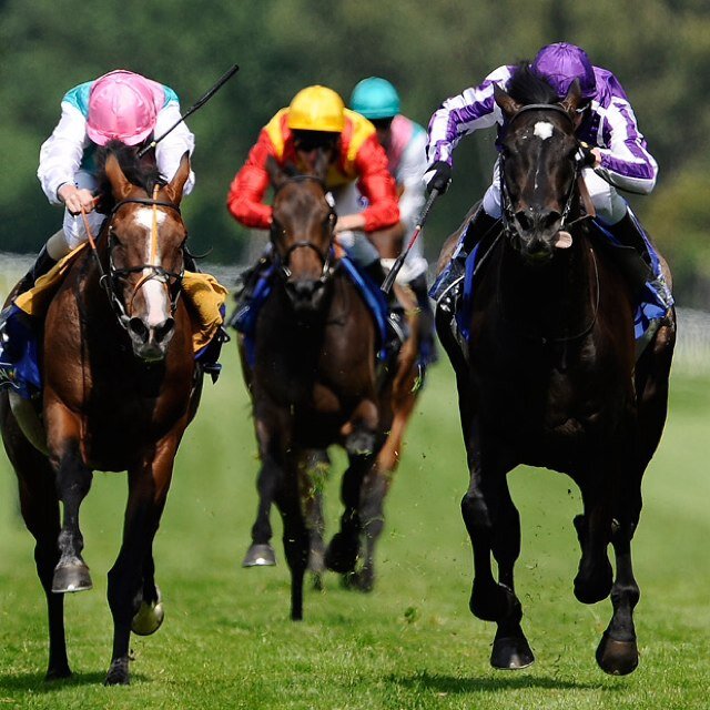 CasualBetting's profile picture. 