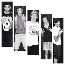 One Direction? more than idols, a life. They light up my world like nobody else  - 220513; Harry smile me and greeted me• 13.06.13 Fraag RT