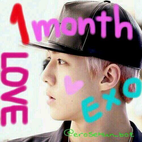 EXO SeHun bot.8/25~　http://t.co/vznOiMXiuH.対応 Luv U...↷9/17~